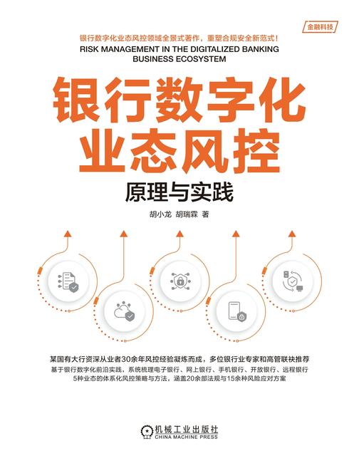 银行数字化业态风控:原理与实践