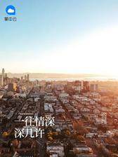 一往情深深几许