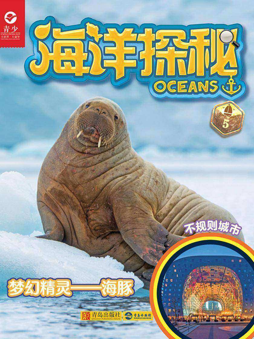 海洋探秘·梦幻精灵——海豚