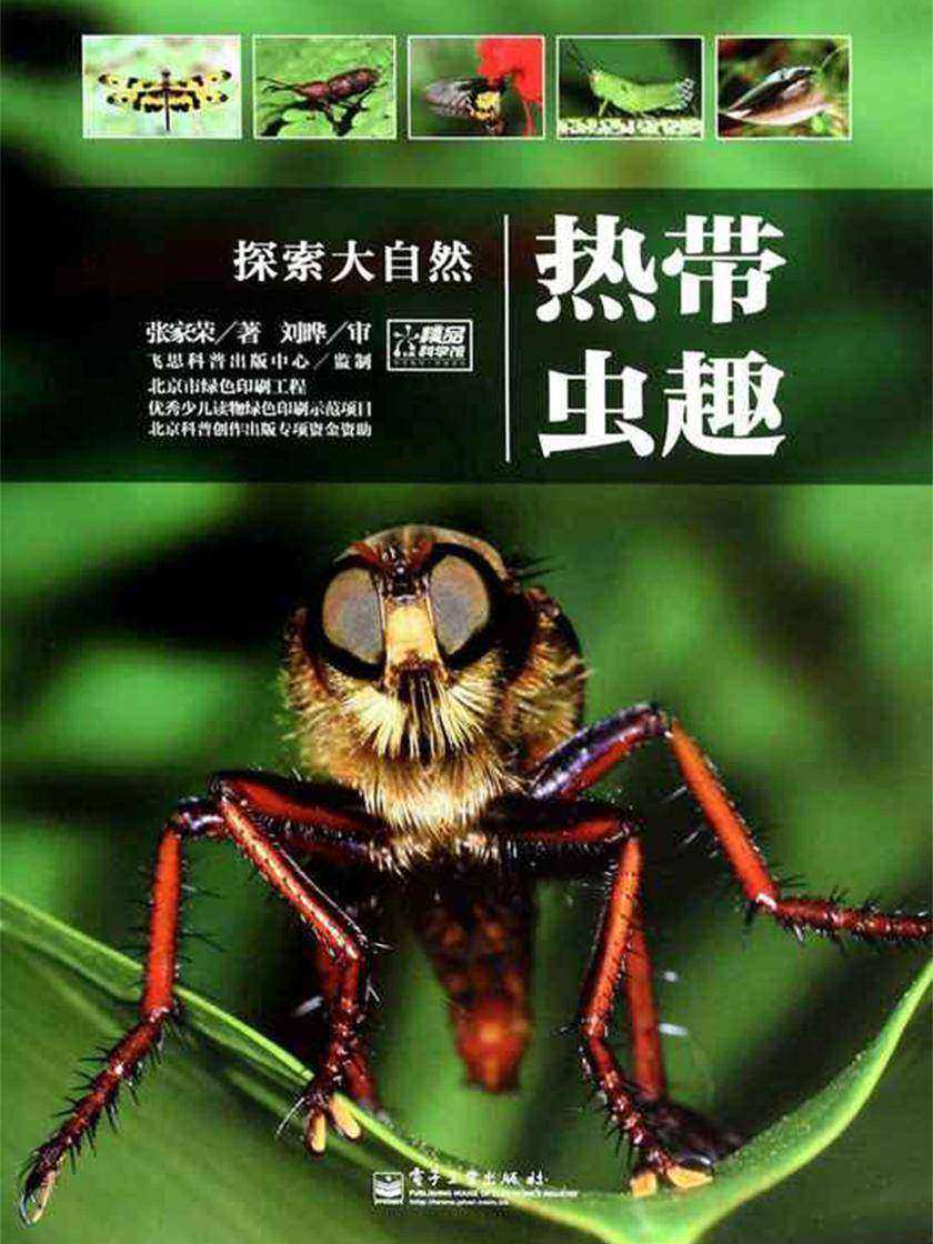 热带虫趣(精装版)