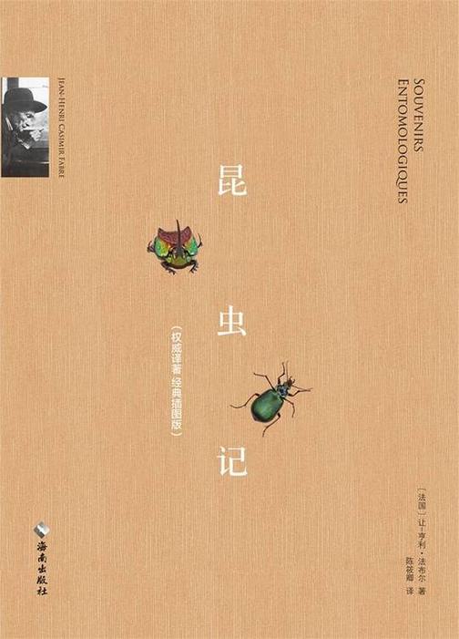 昆虫记（慢读系列，经典译著，精美插图版）