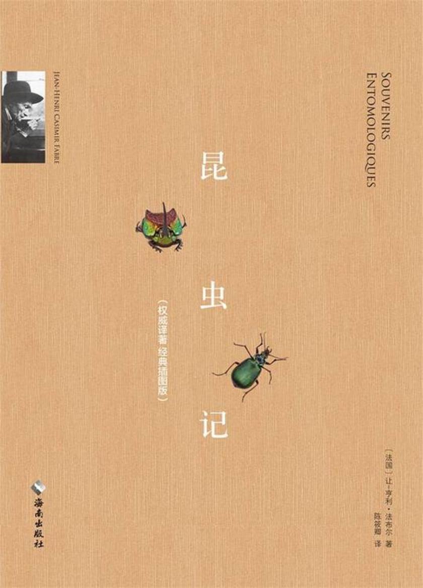 昆虫记（慢读系列，经典译著，精美插图版）