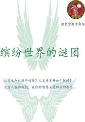 缤纷世界的谜团