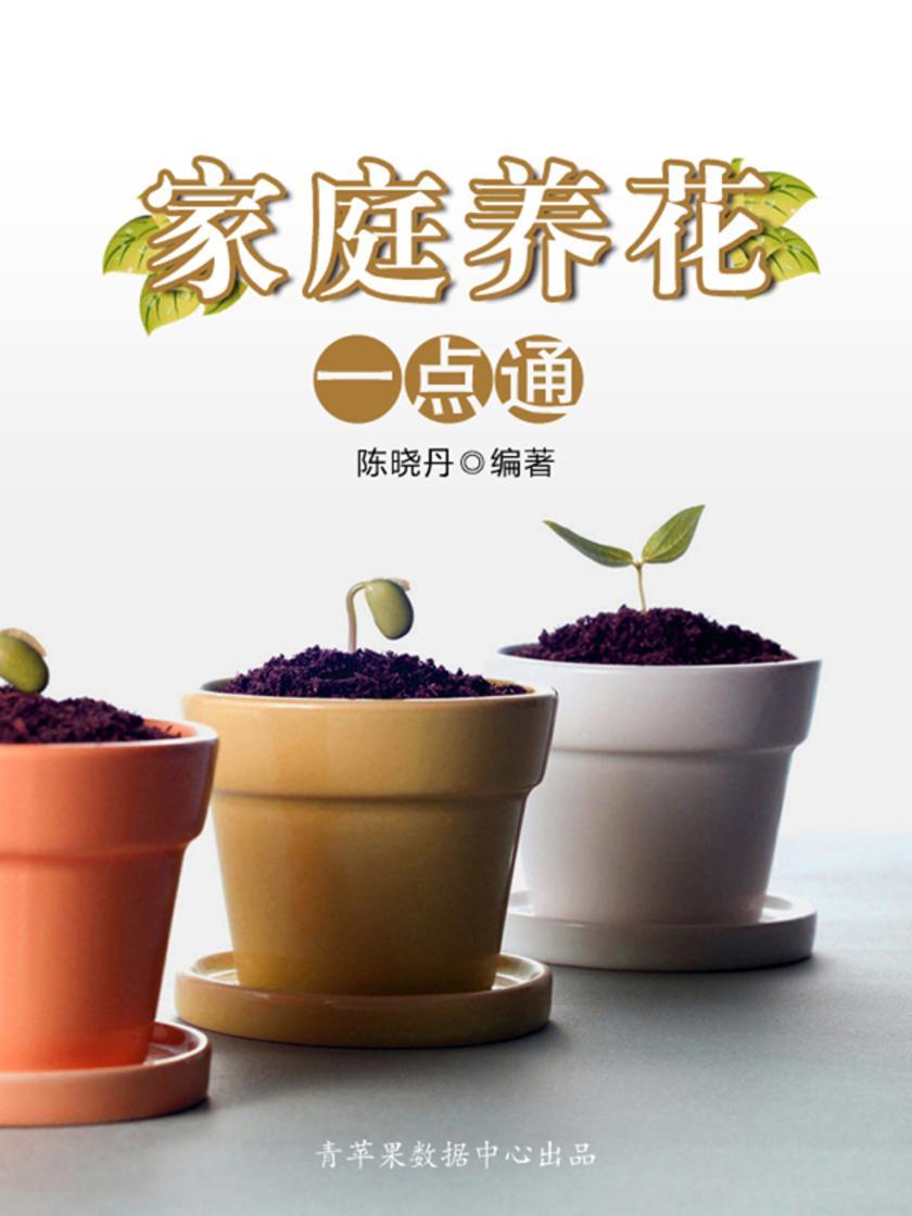 家庭养花一点通(最实用的居家小书)