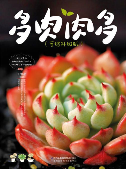 多肉肉多：手绘升级版