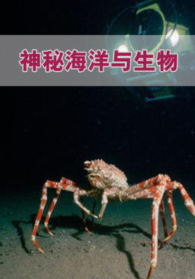 神秘海洋与生物