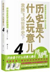 历史是个什么玩意儿4(试读本)