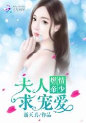 燃情帝少：夫人，求宠爱