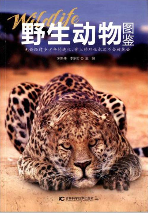 野生动物图鉴