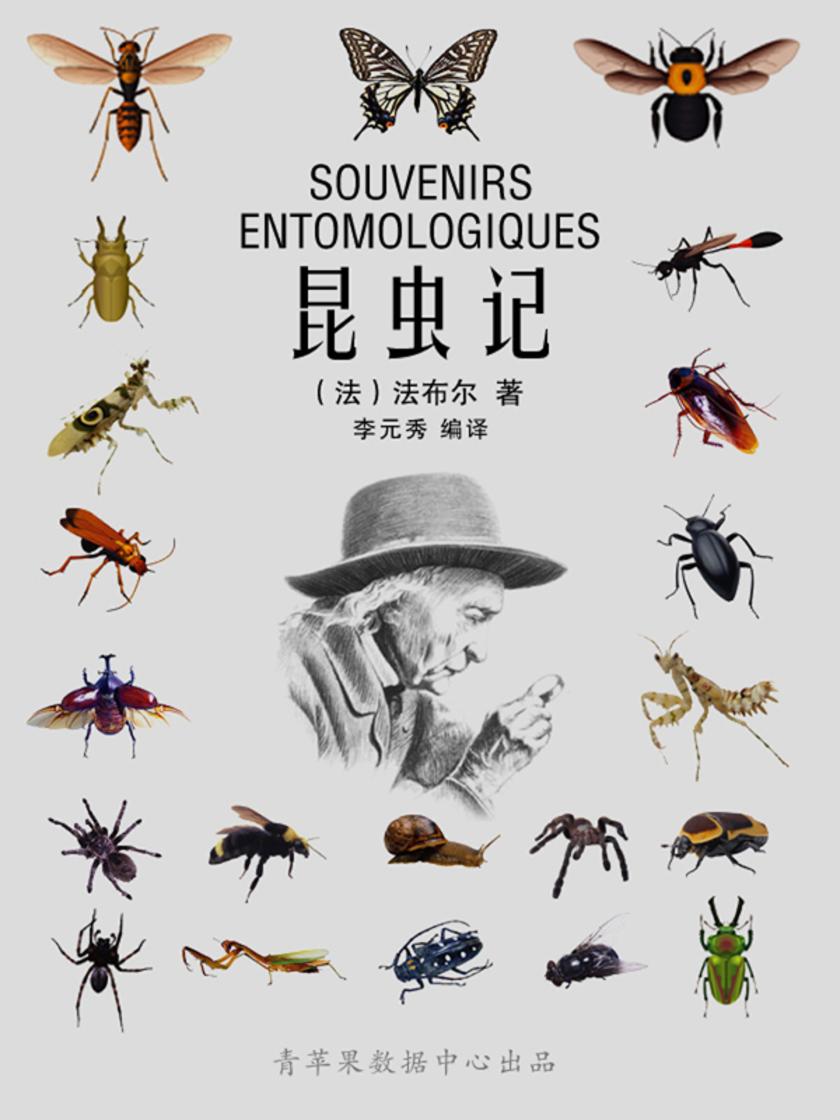 昆虫记(经典世界名著)