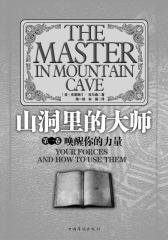 山洞里的大师(下)