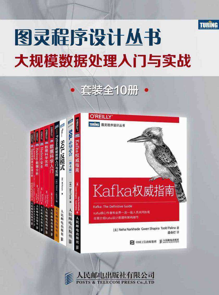 图灵程序设计丛书:大规模数据处理入门与实战(套装全10册)