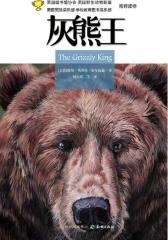 灰熊王