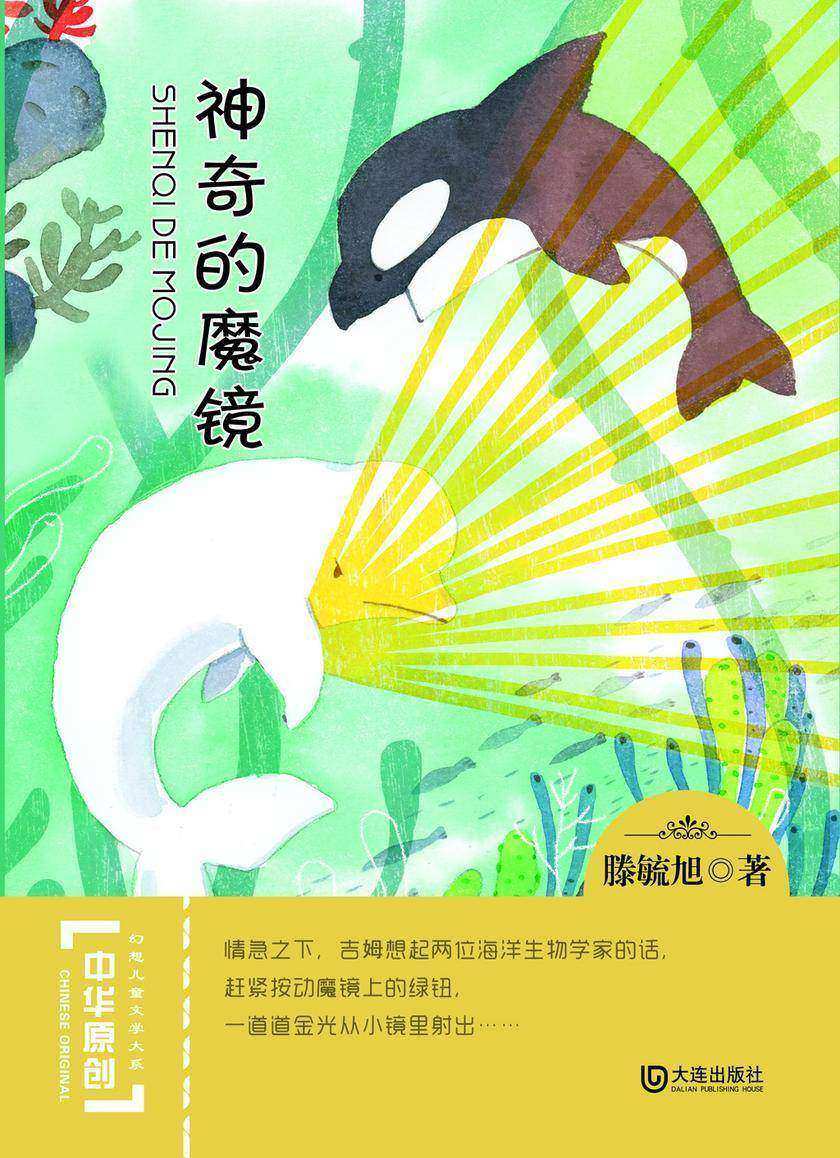 神奇的魔镜(中华原创幻想儿童文学大系)