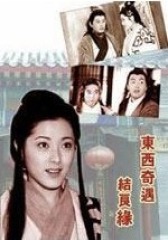 东西奇遇结良缘(影视)