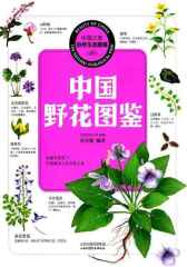 中国野花图鉴