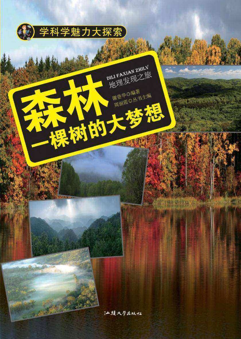 森林：一棵树的大梦想