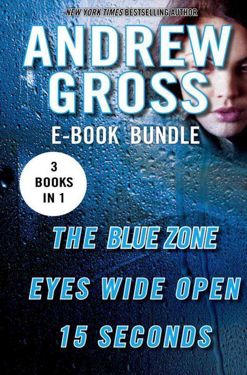 The Andrew Gross Thriller