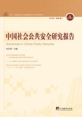 中国社会公共安全研究报告(2012年总第1辑)