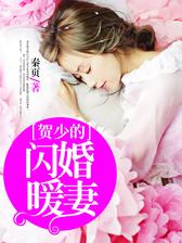 贺少的闪婚暖妻