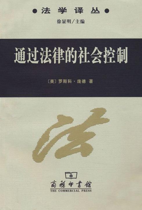 通过法律的社会控制