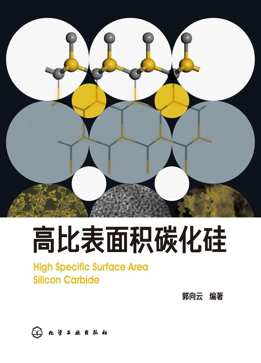 高比表面积碳化硅