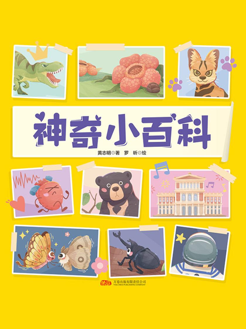 神奇小百科(全7册)