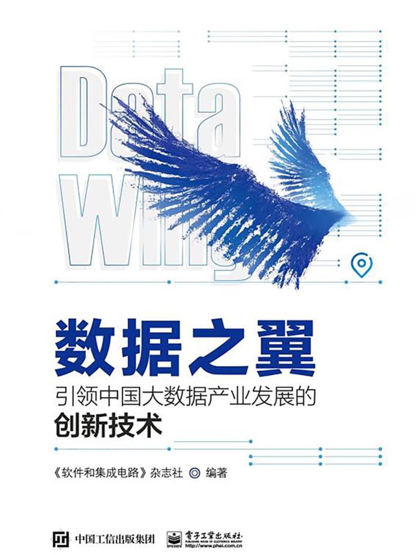 数据之翼:引领中国大数据产业发展的创新技术