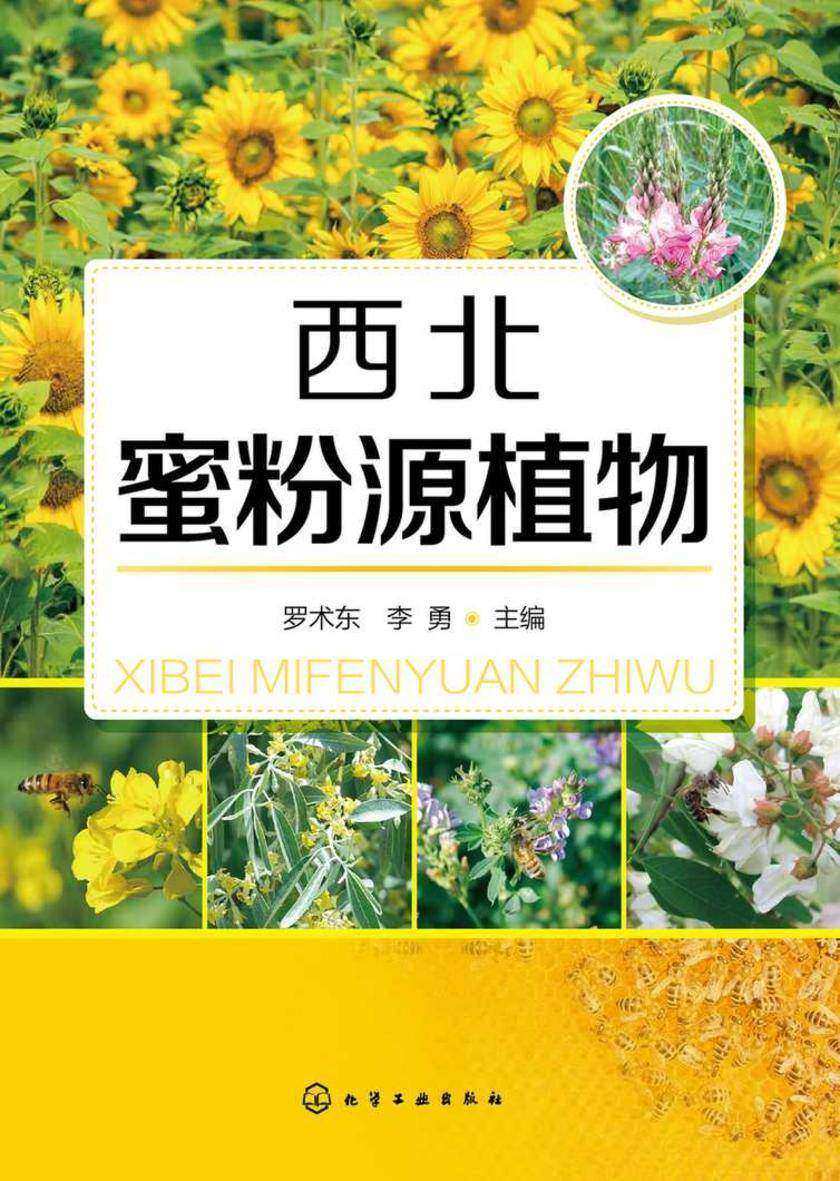 西北蜜粉源植物
