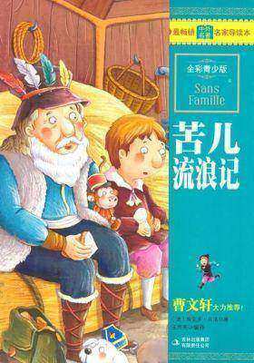 苦儿流浪记