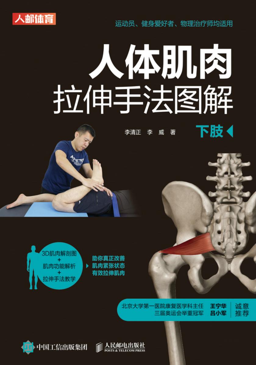 人体肌肉拉伸手法图解(下肢)
