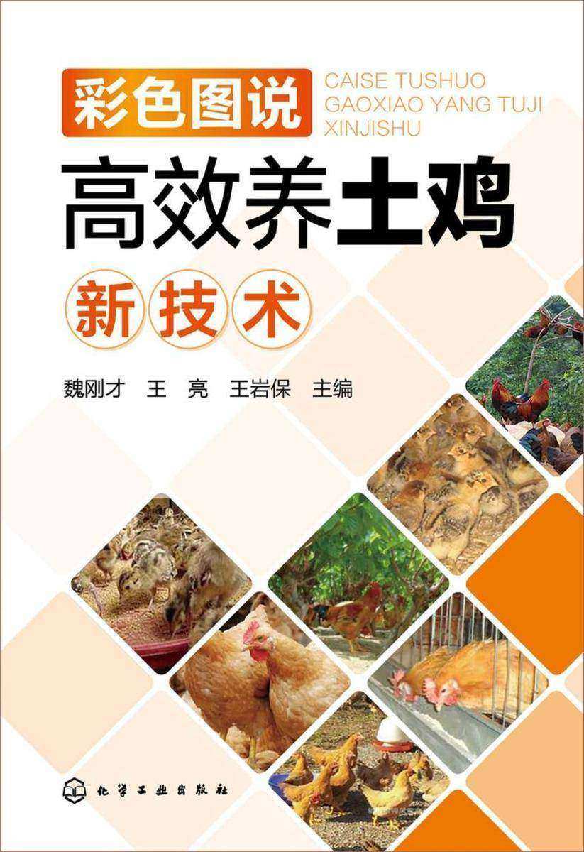 彩色图说*养土鸡新技术