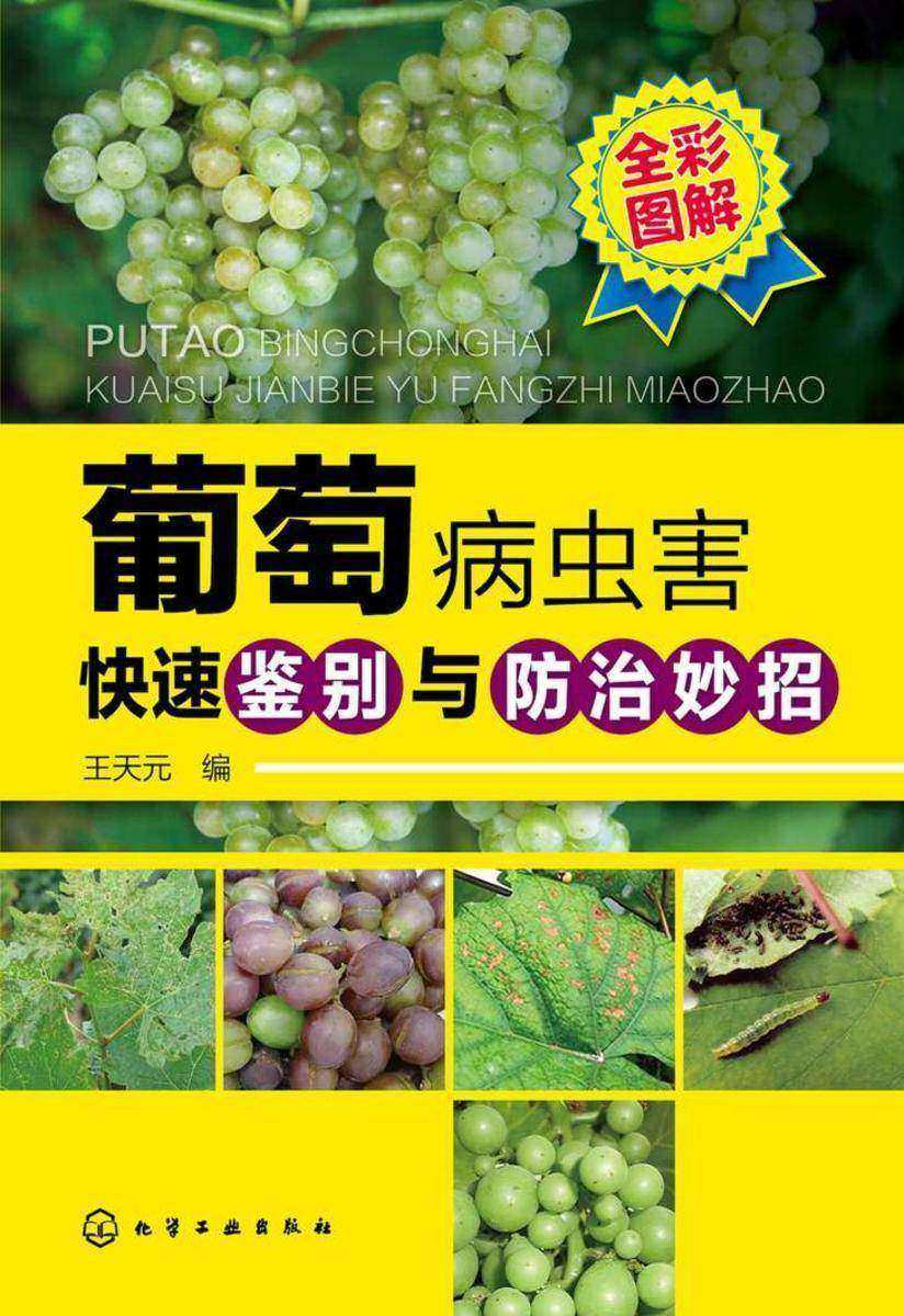 葡萄病虫害快速鉴别与防治妙招