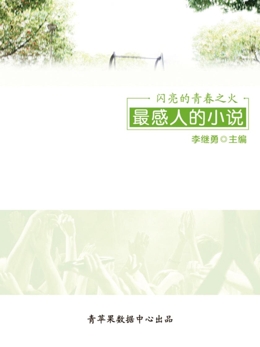 闪亮的青春之火:最感人的小说