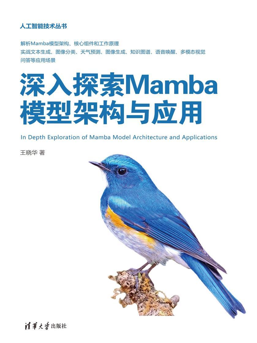 深入探索Mamba模型架构与应用