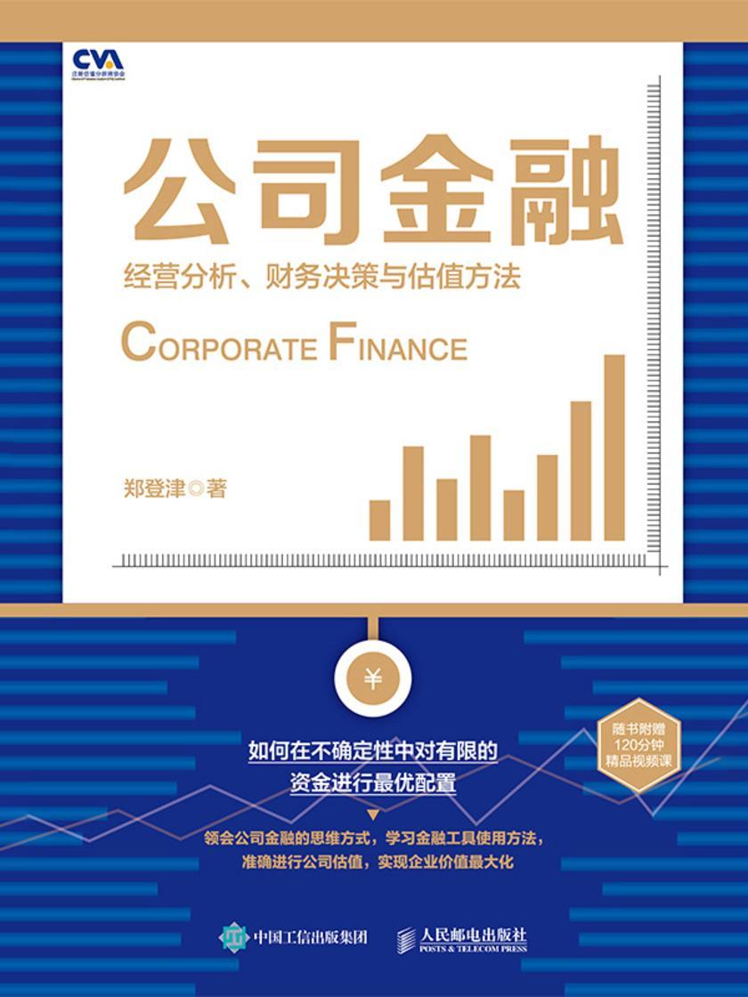 公司金融:经营分析、财务决策与估值方法