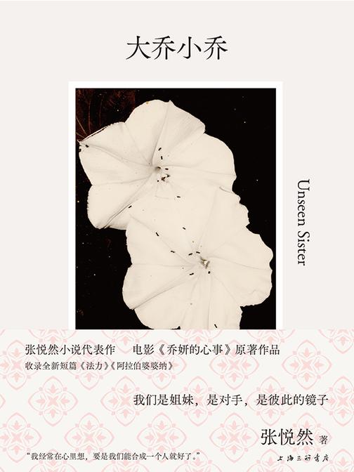 大乔小乔(《许我耀眼》原著小说)