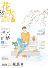 花火A-2018-2期(电子杂志)