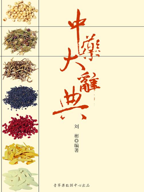 中药大辞典