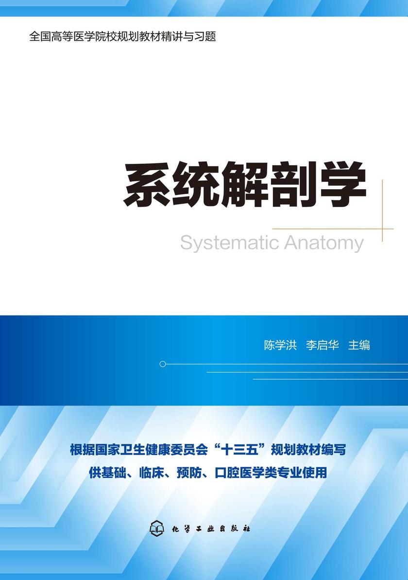系统解剖学