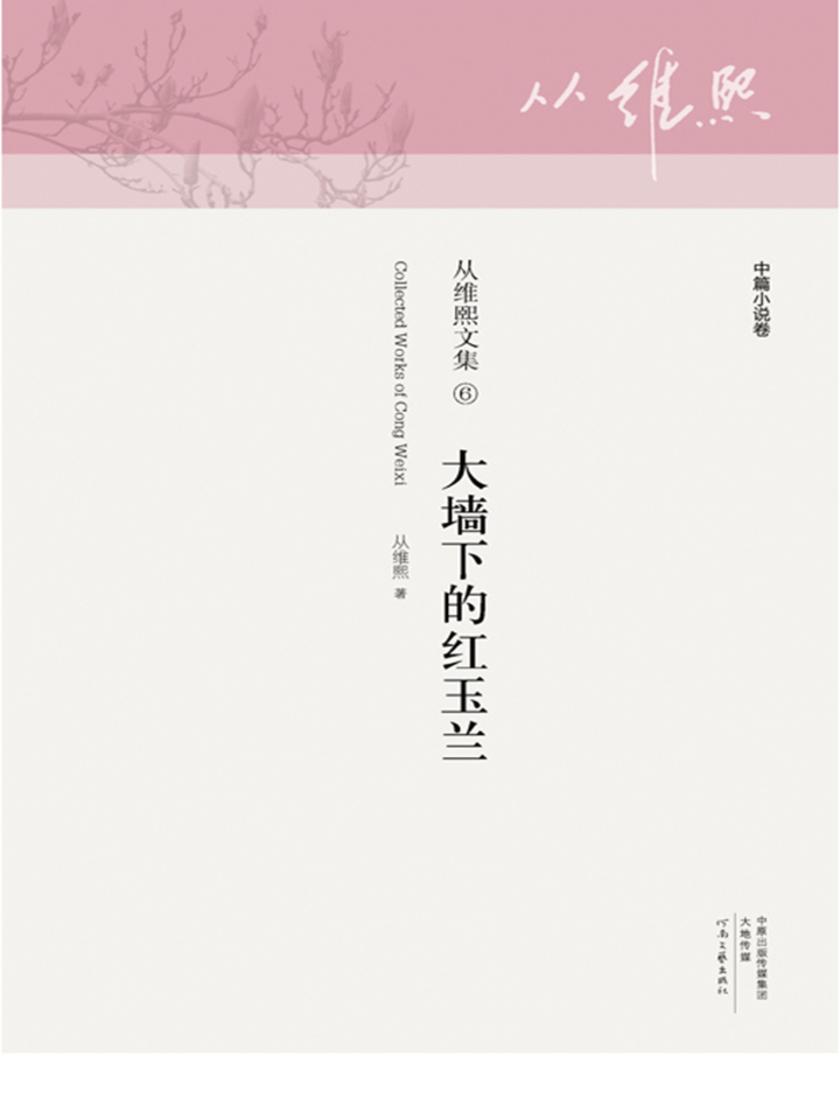 大墙下的红玉兰