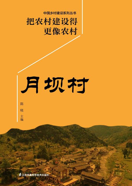把农村建设得更像农村月坝村