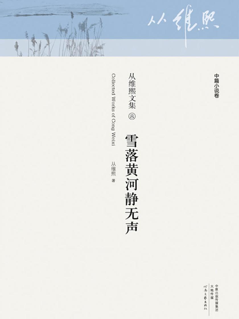 雪落黄河静无声