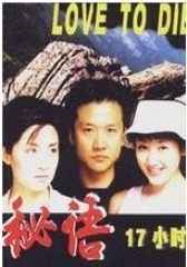 密语十七小时(影视)