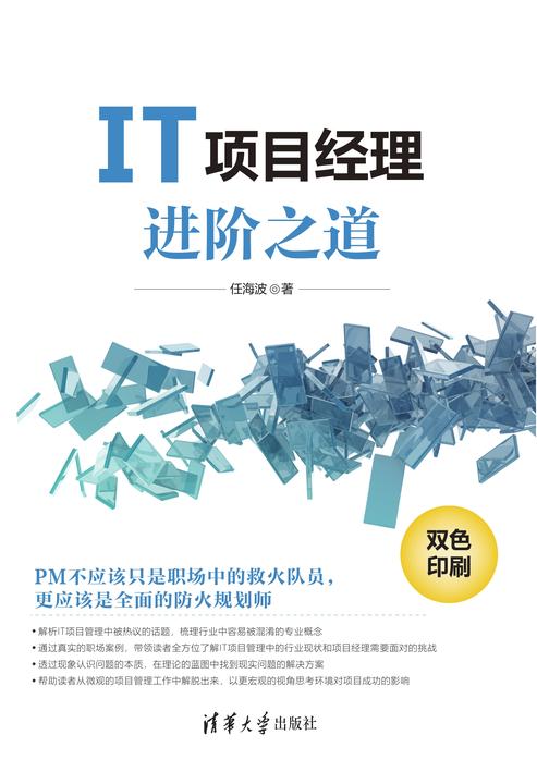 IT项目经理进阶之道