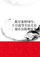 指导案例13号：王召成等非法买卖、储存危险物质案
