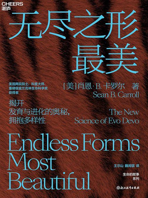无尽之形*美