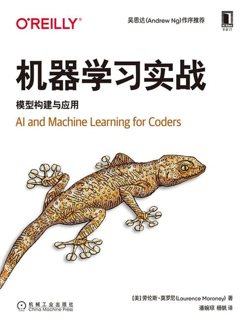 机器学习实战:模型构建与应用