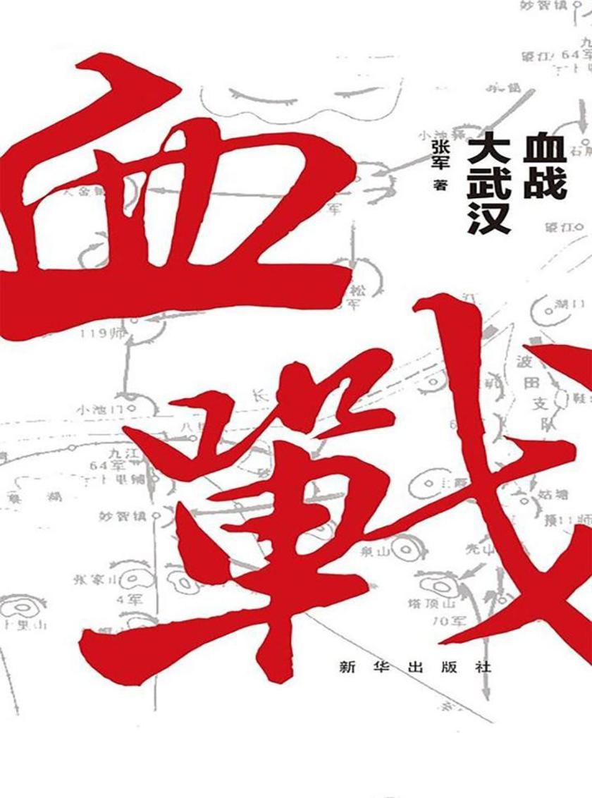 血战大武汉