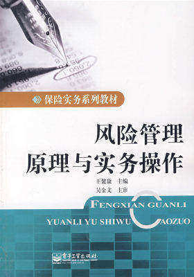 风险管理原理与实务操作(试读本)